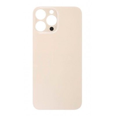 iPhone 13 Pro Back Panel