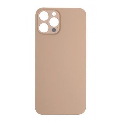 iPhone 12 Pro Max Back Panel