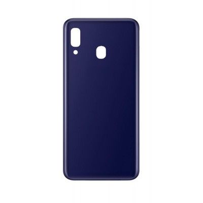 Samsung M10s Back Panel
