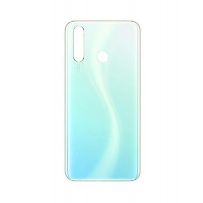 Vivo Y19 Back Panel